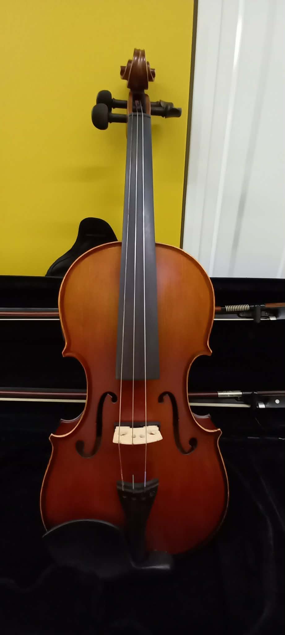 Electric / Acoustic Violin