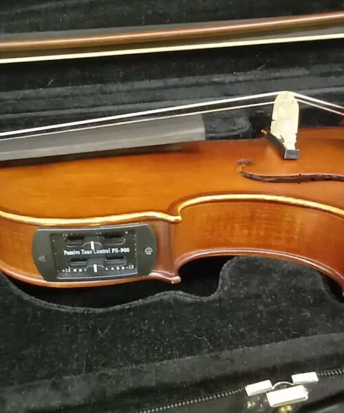 Electric / Acoustic Violin