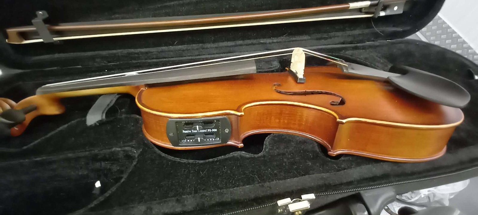 Electric / Acoustic Violin