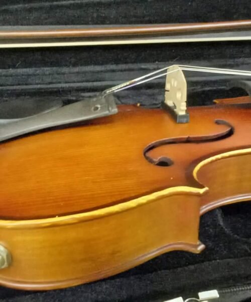 Electric / Acoustic Violin