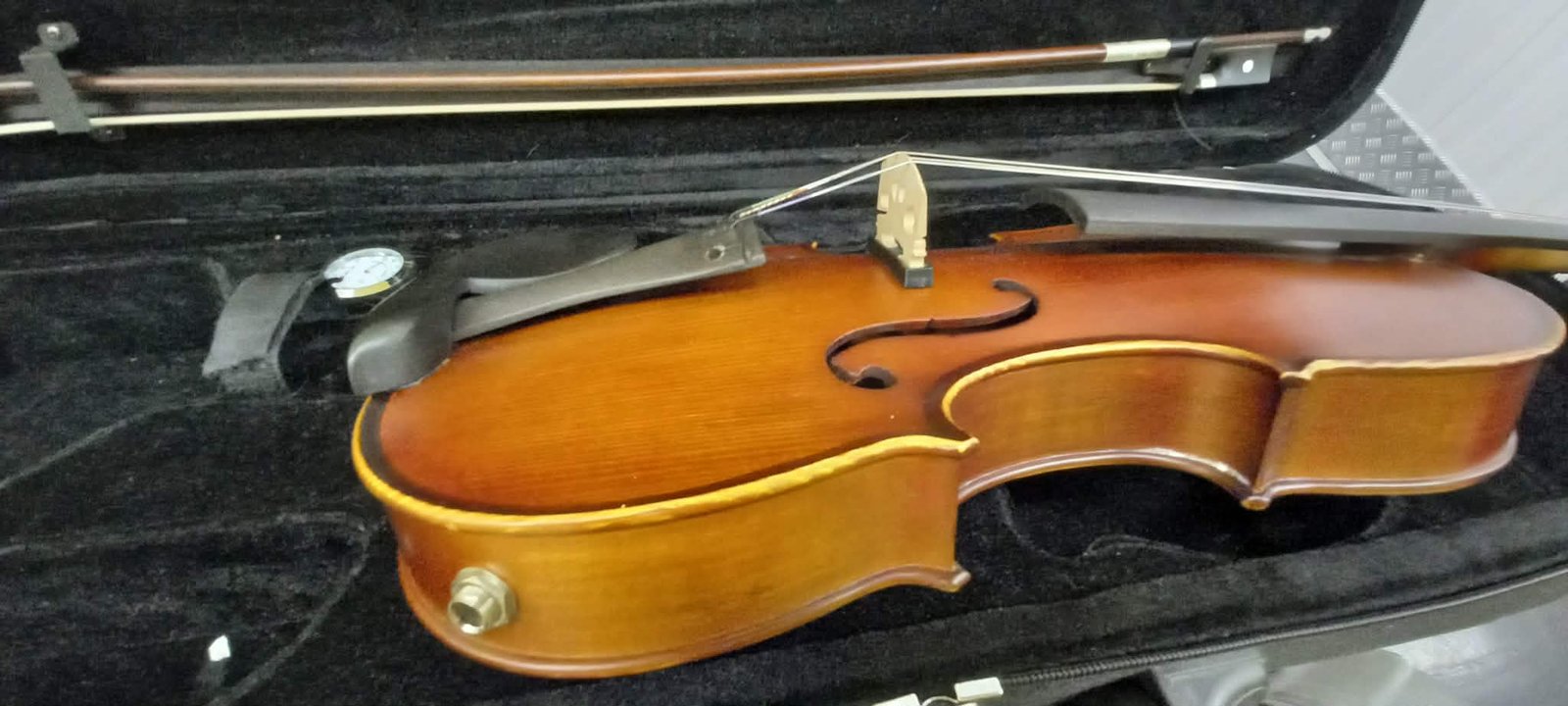 Electric / Acoustic Violin