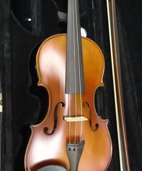 Electric / Acoustic Violin