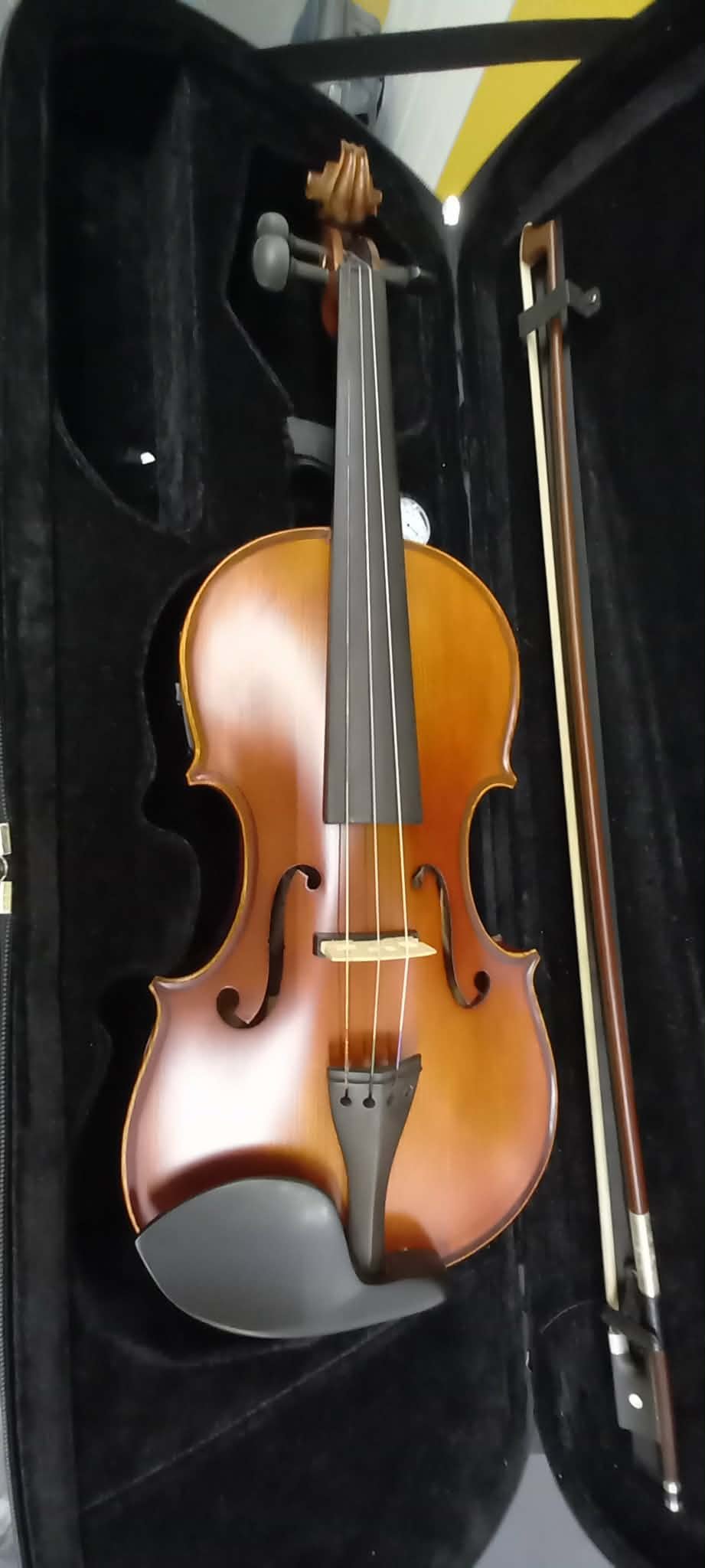 Electric / Acoustic Violin